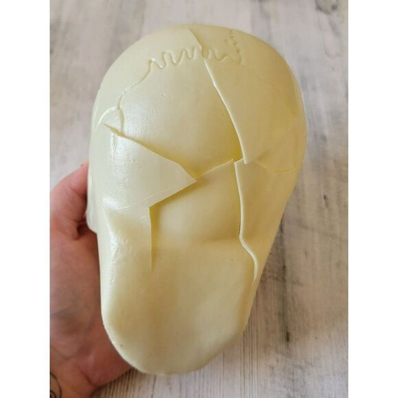 Halloween plastic AS IS skeleton head prop Decor scary - Picture 3 of 5